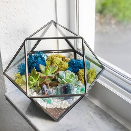 Creations by Nathalie DIY Geometric Glass Terrarium Kit with Moss and Tools - Image 6