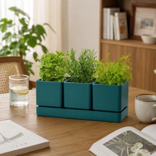 D'vine Dev Plastic Herb Garden Planter Set, Green, 76-V-C-1 - Image 4