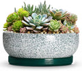 Pots for Succulents, 13 Inch Ceramic Bonsai Pots, Texture Green by Unknown