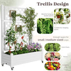 Trellis Raised Garden Bed, Self-Watering Planter Box, White - Image 4