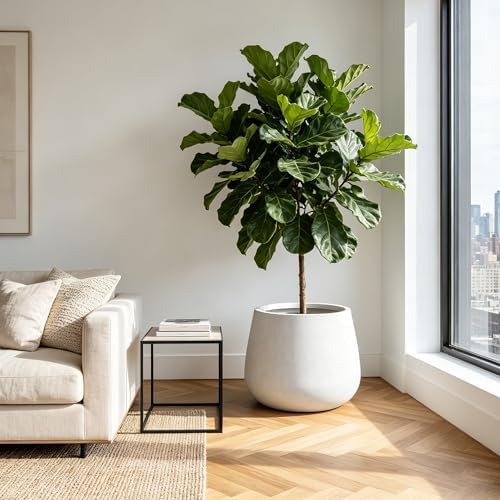 Kante Modern Home Minimalist 18.1" Dia Patina Concrete Curved Planter - Image 6