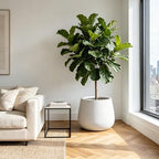 Kante Modern Home Minimalist 18.1" Dia Patina Concrete Curved Planter - Image 6