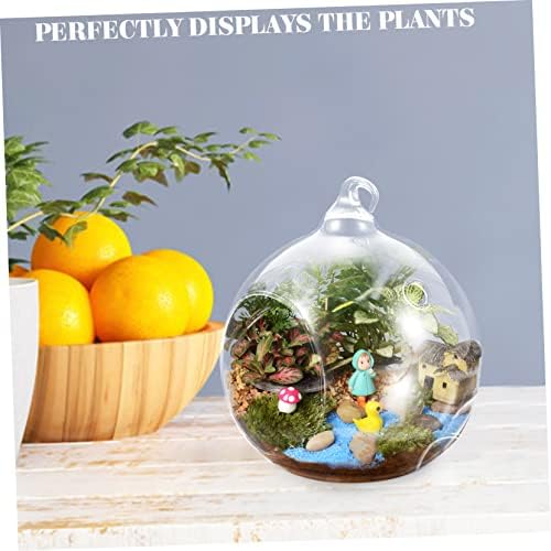 2pcs Globe Hanging Terrarium Glass for Indoor Plants - Image 4