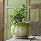 Large Cabbage Ceramic Flower Pot with Tray Indoor Green Plant Container Flower Pot, Herb Flower Pots, Jewelry Design Ceramic Flower Planter/Decorative Plant Container - Image 2