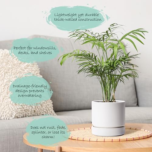 Phoenix Vine 6 Inch Planter Pot with Drainage Hole & Saucer, Deep Water Catch Tray, Straight Cylindrical Round Pot for Plants, Matte White, Pack of 4, 23-B-S-4 - Image 3