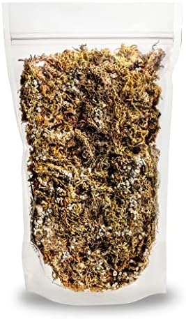 GARDENERA Sphagnum Moss Potting Mix for Carnivorous Plants, Moss and Perlite Blend for Potting Venus Fly Traps, Sarracenia, Pitcher Plants - 75% Sphagnum Moss + 25% Perlite - Made in USA - 4 Quart - Image 6