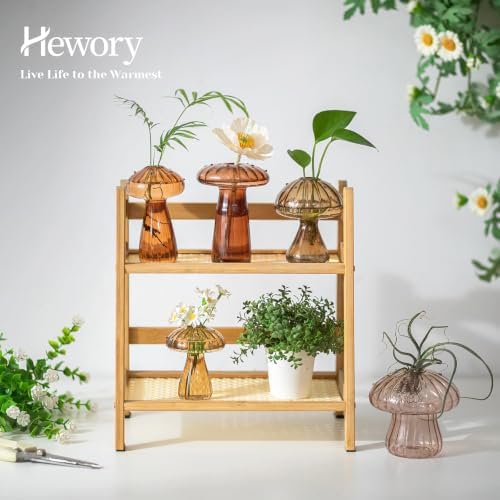 Hewory Plant Propagation Stations: 5PCS Amber Mushroom Vase for Flower - Image 3