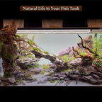 Natural Large Driftwood for Aquarium Decor Fish Tank Decor Reptile Decor - Image 6