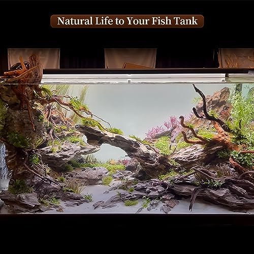 Natural Large Driftwood for Aquarium Decor Fish Tank Decor Reptile Decor - Image 6