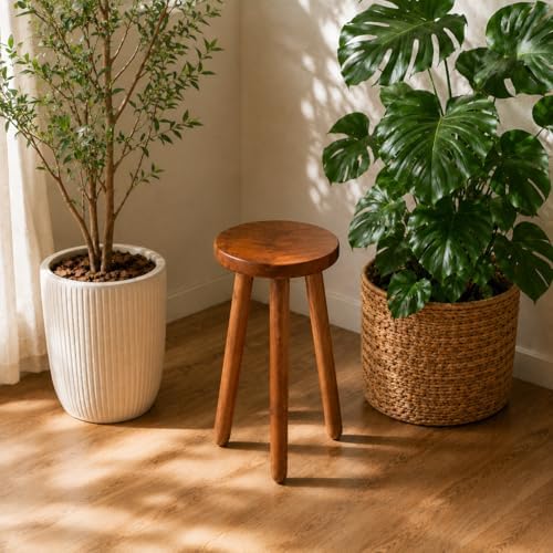 Teak Wood Plant Stand, 24" Round Side Table, Wood Accent Table - Image 6