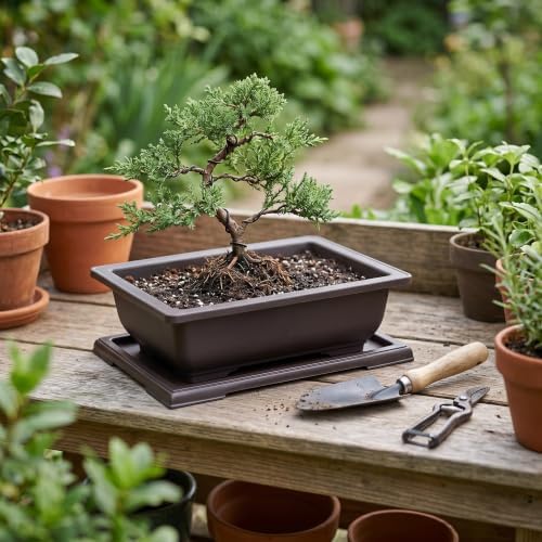 JEUIHAU 4 Pack 14 Inch Bonsai Training Pots with Tray, Rectangular Plant Pot with Drainage Hole, Brown Bonsai Tree Pot, Plastic Bonsai Planter Pots for Succulent, Herb, Flower, Potted Plant - Image 7