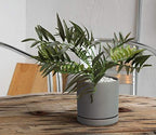 D'vine Dev 2-Pack Ceramic Pots with Saucers, Grey, 8 in, 94-V-D-3 - Image 5