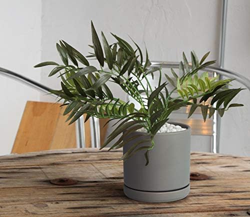 D'vine Dev 2-Pack Ceramic Pots with Saucers, Grey, 8 in, 94-V-D-3 - Image 5