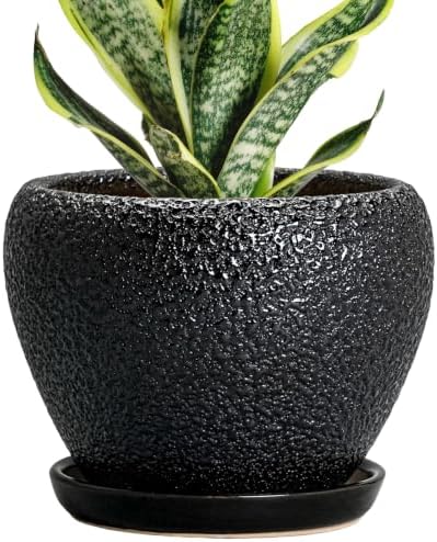 Ceramic Planter 6 Inch, Ceramic Plant Pots Indoor, Black by Thirtypot