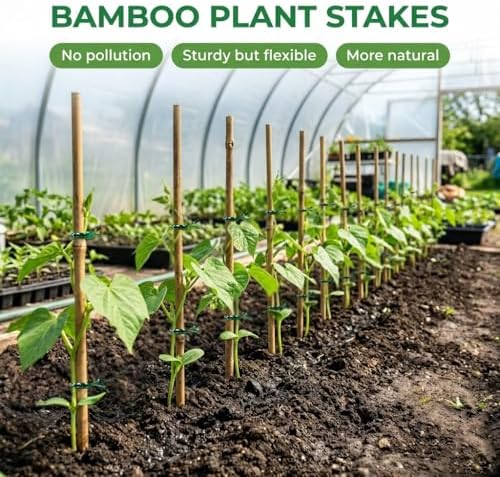 Plant Stakes Natural Bamboo Sticks - 25 Pcs Bamboo Garden Stakes for Plants 3 FT Plant Support Sticks with Twist Ties for Tomatoes Beans Orchid Flowers Indoor Outdoor Potted Climbing Plants - Image 2