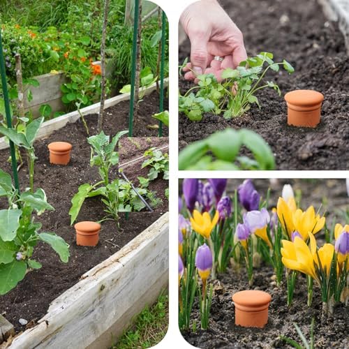 Large 10×6×6inch Terra Cotta Watering Pots 110oz Terra Cotta Watering Terracotta Watering Spikes Self Watering Planter Watering Pot with Lid for Outdoor & Indoor Plants - Image 6