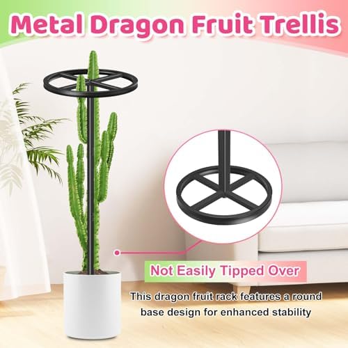 Dragon Fruit Trellis,44" Adjustable Metal Dragon Fruit Plant,2 Pcs - Image 5