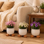 LemonRoad 12 Set Tortoise Pot Feet for Outdoor Planters, Terra Cotta Cement - Image 4
