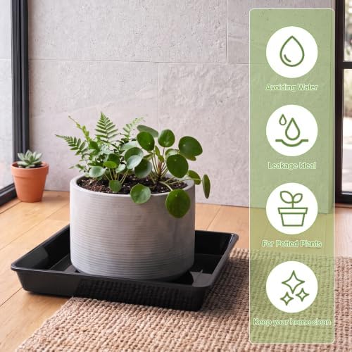 Eccliy 12 Pcs Plastic Plant Saucers Tray, Black, 14 Inch, Square - Image 6