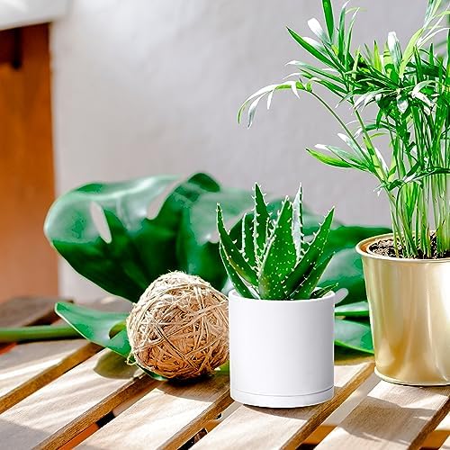 D'vine Dev 4-Pack White Plastic Planters with Saucers, 4.5 in, 74-Z-F-2 - Image 3
