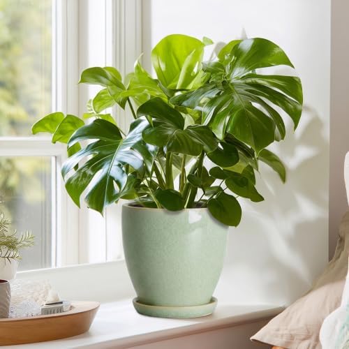 Ceraimc Planters Indoor, 6 Inch Ceraimc Flower Pots, Retro Green - Image 7