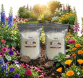 Water Storing Crystals – Commercial Grade Soil Additive & Moisture Retainer – Potassium Polyacrylate Super Absorbent Polymer for Plants, Gardens & Lawns (10) by Soil+Vigor