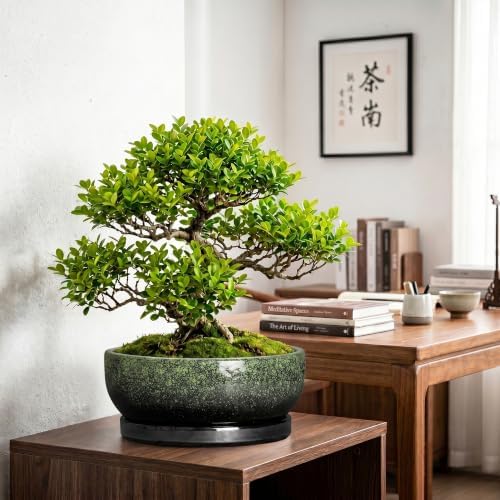 Bonsai Tree Pots 13 Inch, Ceramic Succulent Pots, Speckle Green - Image 3