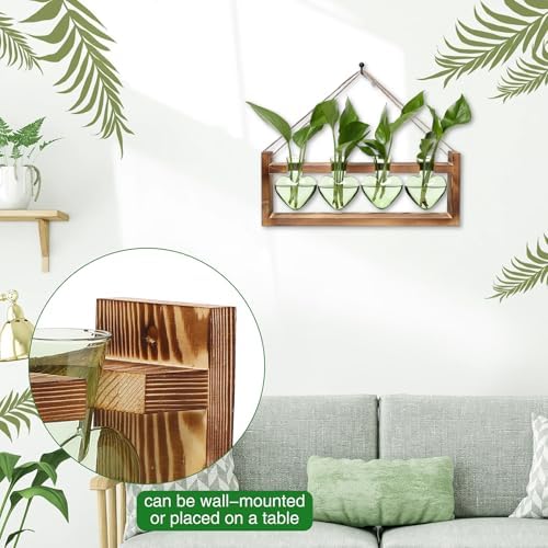 Plant Propagation Stations Heart Plant Terrarium Kit - Image 3