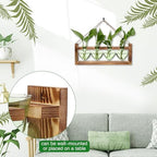 Plant Propagation Stations Heart Plant Terrarium Kit - Image 3
