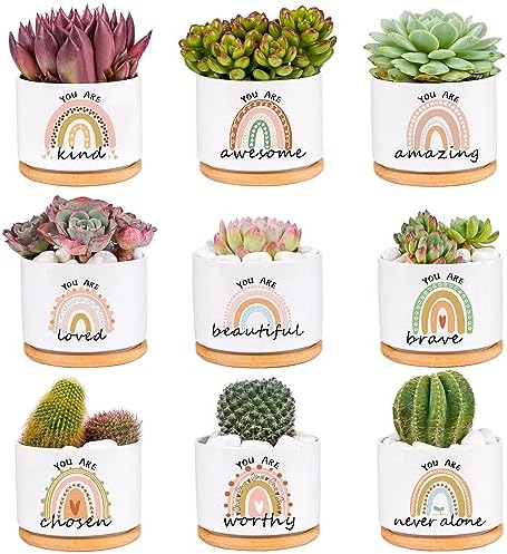 SAIWEILAI ONLINE 9 Pieces for Women Inspirational Succulent Pots with Drainage Thank You Gifts for Employee Teacher Nurse by SAIWEILAI+ONLINE