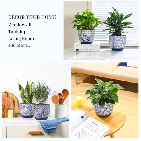 Selamica Ceramica Plant Pots, 6.5 Inch Flower Pots Set of 2 with Drainage Holes & Saucer, Planters for Indoor Plants, Home Decor, Vintage Blue - Image 5