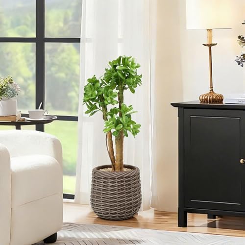 Artificial Succulents Plants 25inch, Tall Faux Desk Plants Indoor in Brown Pot, 2ft Artificial Floor Plant, Fake Plant for Home Office Bedroom Porch Patio Balcony or Garden Outdoor Decor - Image 3
