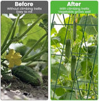 Foldable Cucumber Trellis - 2 Pack - Image 4