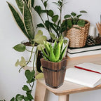 YARDWE Wood Barrel Flower Pot Planter: Whiskey Barrel Planter Outdoor Indoor Vintage Flower Container for Home Room Office Garden Plant Holders 27x21cm Whiskey - Image 7