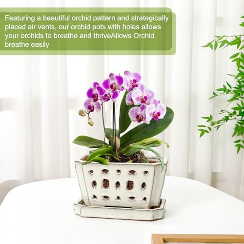 Teenyyou 7 Inch Ceramic Orchid Pot with Holes and Saucer Repotting,White - Image 5