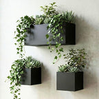 LaLaGreen Wall Planters (3-Pack Set) Rectangular Wall Mounted Hanging Flower Boxes for Indoor Plants, Black Carbon Steel Metal Windox Box Planter Plant Modern Balcony Windowsill Herb Home Garden Decor by L%C3%A1L%C3%A1Green