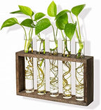 Kingbuy Retro Wooden Stand with 3 Bulb Vase + Wall Mounted 5 Glass Test Tubes Planter Plant Propagation Stations - Image 3