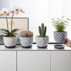 5.6 Inch Ceramic Plant Pots Set of 4 - Image 6