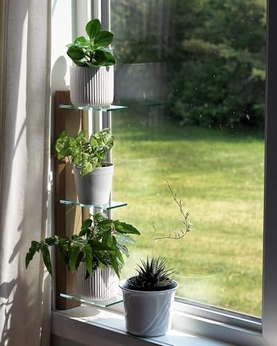 Daniel's Plants 3 Tiered Window Sill Plant Shelf (Real Wood & Glass) | Renter Friendly Window Shelves | Removable Indoor Plant Stand with Hook-and-Loop | Easy Setup | Solid Wood (Prairie Sand) - Image 2
