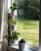 Daniel's Plants 3 Tiered Window Sill Plant Shelf (Real Wood & Glass) | Renter Friendly Window Shelves | Removable Indoor Plant Stand with Hook-and-Loop | Easy Setup | Solid Wood (Prairie Sand) - Image 2