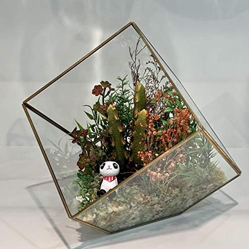 WGVI WGV Geometric Planter Terrarium Bulk, Clear Glass with Gold Frame, Tilted Cube, Width 11.5" Height 12", DIY Succulent Air Plant Miniature Fairy Garden Windowsill Tabletop Decor, 4 Pieces - Image 3