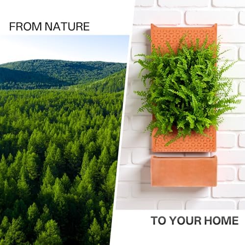 dadop Terracotta Self Watering Wall Pots for Indoor Plants, Hanging Planters for Indoor Plants Holder, Terra Cotta Pot Home Decor - Image 7