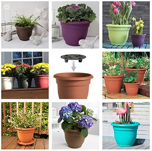 Bloem AP1025 10" Honey Ariana Planter - Image 5