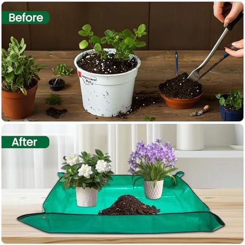 GROWNEER Large Bonsai Pots 3 Pack 14 Inch with Drainage Trays Training Pot - Image 5