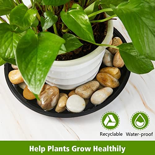 Honeydak 48 Pieces Plant Saucer Potted Plant Trays Round Plastic Drainage Tray Sturdy Drip Flower Saucers for Potted Indoor Outdoor Home Garden, 4/6/ 8/10/ 12/13 inches (Black) - Image 4