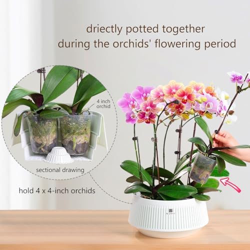 Orchid Pots with Holes for Repotting, Decorative African Violet Pots with Air-Pruning and Good Air Circulation, Plastic White Orchid Planter with Saucers, 8 Inch, Set of 2 - Image 4