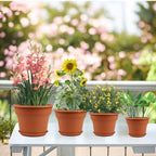 Pottiffe Plant-Pots-Planters-Indoor-Outdoor, 13 inch 4 Pack Terracotta - Image 5
