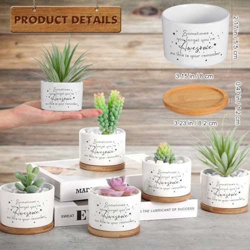 12 Pcs Inspirational Succulent Pots Thank You Gift Bulk for Women Employee Teacher Coworker Sometimes You Forget You're Awesome Small Ceramic Plant with Bamboo Trays for Office Staff - Image 2