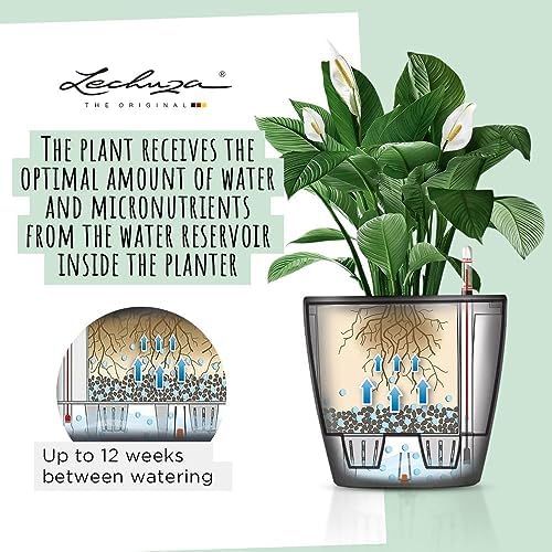 Lechuza Classico LS 43 Charcoal Metallic, Self-Watering Round Planter, D16.9 H15.7 in - Image 3