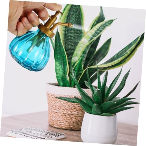 Vintage Glass Spray Bottles 2 Pack for Plants and Succulents - Image 6